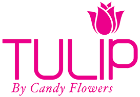 Tulip bags & Lora Art